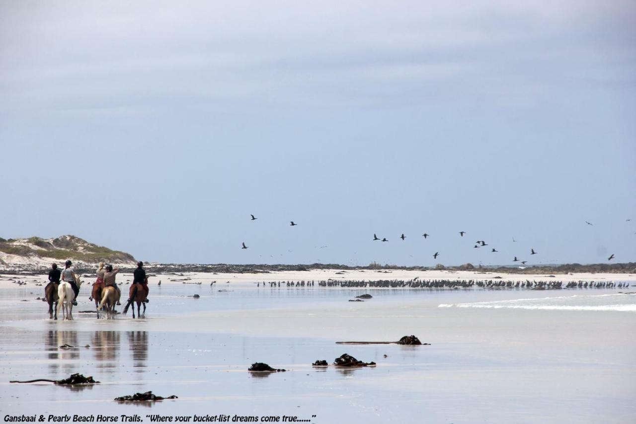 Ons C-Huis - Gansbaai Seafront Accommodation, Back-Up Power Екстериор снимка